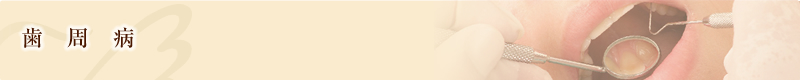 歯周病・歯の豆知識
